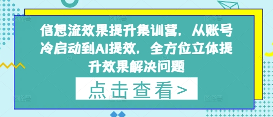 信息流效果提升集训营，从账号冷启动到AI提效，全方位立体提升效果解决问题-优品网赚资源库