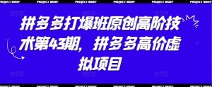 拼多多打爆班原创高阶技术第43期,拼多多高价虚拟项目-优品网赚资源库