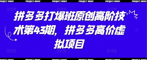 拼多多打爆班原创高阶技术第43期,拼多多高价虚拟项目-优品网赚资源库