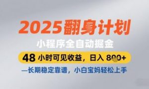 2025小程序全自动掘金，48 小时可见收益，日入8张，长期稳定靠谱，小白宝妈轻松上手【揭秘】-优品网赚资源库