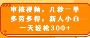 视频审核员，几秒一单，不限时间，不限地点，多做多得，新人小白一天轻松几张+【揭秘】-优品网赚资源库