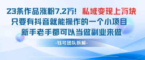 抖音私域项目23条作品涨粉7.2W，私域变现1W-优品网赚资源库