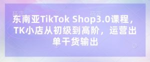东南亚TikTok Shop3.0课程,TK小店从初级到高阶,运营出单干货输出-优品网赚资源库