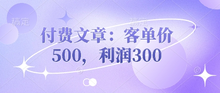 付费文章:客单价500,利润300-优品网赚资源库