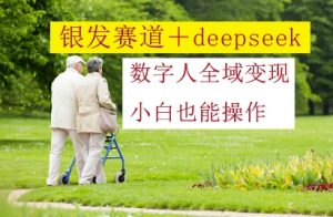 银发赛道+deepseek数字人全域变现,小白也能操作-优品网赚资源库