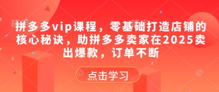 拼多多vip课程,零基础打造店铺的核心秘诀,助拼多多卖家在2025卖出爆款,订单不断-优品网赚资源库