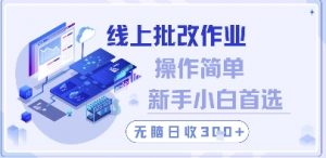 线上批改作业，操作简单新手小白首选，无脑日收300+【揭秘】-优品网赚资源库