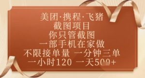 飞猪美团截图项目，你只管截图，一部手机在家做，正规平台无套路，一天5张+【揭秘】-优品网赚资源库