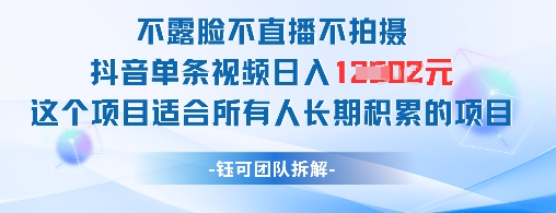 不露脸不直播不拍摄抖音单条视频日入1k+这个项目适合所有人长期积累的项目-优品网赚资源库