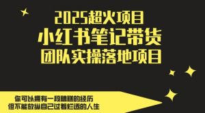 2025超火项目,副业最佳选择,小红书笔记带货团队实操落地项目,,轻松日入5张-优品网赚资源库