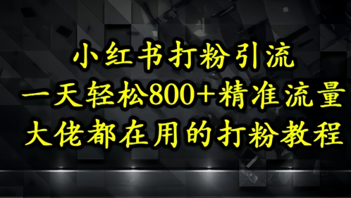 小红书打粉引流，一天轻松500+精准流量，大佬都在用的打粉教程-优品网赚资源库