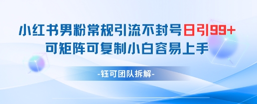 小红书男粉常规引流不封号日引99+变现简单 可矩阵可复制小白容易上手-优品网赚资源库
