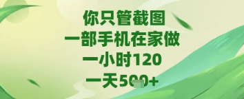 你只管截图，一部手机在家做，苹果安卓都可以，一天5张+【揭秘】-优品网赚资源库