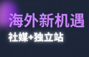 2025出海新机遇(社媒+独立站)，海外新机遇，实现独立站的高效运营与出海-优品网赚资源库