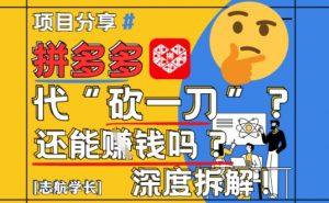 【2025最新】拼多多代坎助力项目深度拆解：还能挣钱吗?全流程玩法-优品网赚资源库
