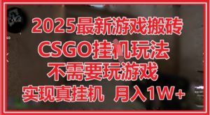 2025最新游戏搬砖，CSGO挂G，不需要玩游戏，实现真挂G，月入1W+【揭秘】-优品网赚资源库