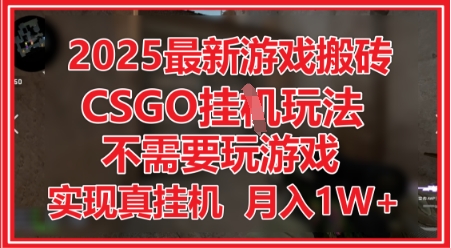 2025最新游戏搬砖，CSGO挂G，不需要玩游戏，实现真挂G，月入1W+【揭秘】-优品网赚资源库