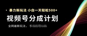 视频号分成计划，全网最暴力玩法，新手一天也能轻松5张+-优品网赚资源库
