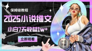 2025小说推文最新玩法，推文保姆级教程，小白7天收益1w+-优品网赚资源库