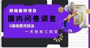 网创搬砖项目,国内问卷调查,0基础看完就会 一天轻松三四张,靠谱副业干就完了【揭秘】-优品网赚资源库