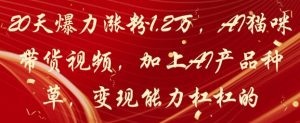20天爆力涨粉1.2W，AI猫咪带货视频，加上AI产品种草，变现能力杠杠的-优品网赚资源库
