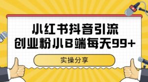小红书抖音创业粉，小B端粉自热，日引99+的一个玩法【揭秘】-优品网赚资源库