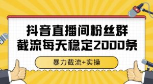 抖音直播间粉丝群暴力截流，一台电脑每天稳定2000条数据，暴力截流+实操 【揭秘】-优品网赚资源库