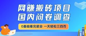 网创搬砖项目，国内问卷调查，小白轻松上手，一天三四张的也不难，干就完了【揭秘】-优品网赚资源库