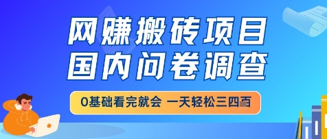 网创搬砖项目，国内问卷调查，小白轻松上手，一天三四张的也不难，干就完了【揭秘】-优品网赚资源库