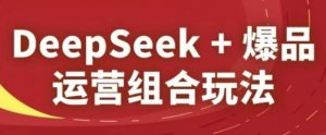 DeepSeek+爆品运营组合玩法，2025淘系精品课-优品网赚资源库