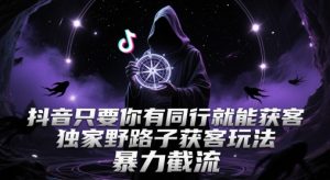 抖音只要你有同行就能获客，独家野路子获客玩法，暴力截流【揭秘】-优品网赚资源库