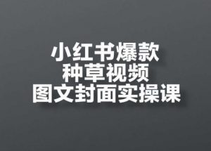 小红书爆款种草视频图文封面实操课,开店、选品、引流、变现全流程-优品网赚资源库