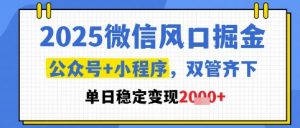 2025微信风口掘金，公众号+小程序双管齐下，单日稳定变现1k+【揭秘】-优品网赚资源库
