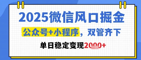 2025微信风口掘金,公众号+小程序双管齐下,单日稳定变现1k+【揭秘】-优品网赚资源库