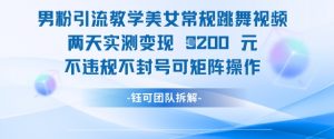 男粉引流教学美女常规跳舞视频两天实测变现1k+，不违规不封号可矩阵操作-优品网赚资源库