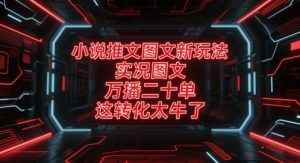 小说推文图文新玩法，实况图文，万播二十单，这转化太牛了！-优品网赚资源库