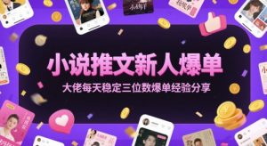 小说推文新人爆单大佬每天稳定三位数爆单经验分享-优品网赚资源库