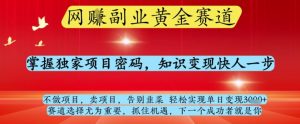 网创副业黄全赛道，掌握独家项目密码，知识变现快人一步，告别韭菜轻松实现单日变现1k+【揭秘】-优品网赚资源库