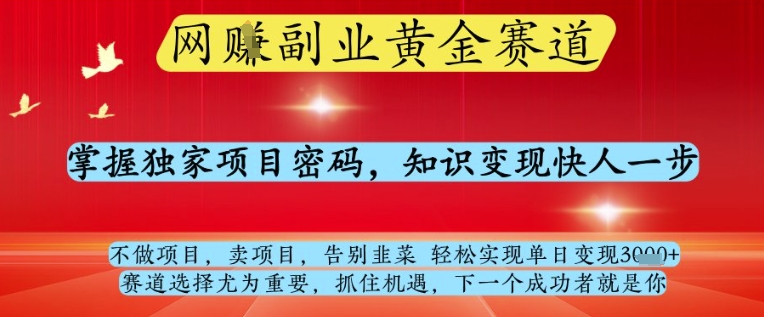 网创副业黄全赛道，掌握独家项目密码，知识变现快人一步，告别韭菜轻松实现单日变现1k+【揭秘】-优品网赚资源库