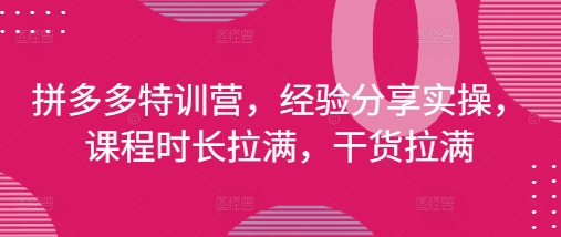 拼多多特训营,经验分享实操,课程时长拉满,干货拉满(更新25年4月)-优品网赚资源库