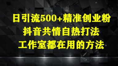 日引流500+精准创业粉，抖音共情自热打法，工作室都在用的方法-优品网赚资源库
