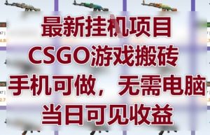 最新挂G项目，CSGO游戏搬砖，手机可做，无需电脑，当日见收益【揭秘】-优品网赚资源库