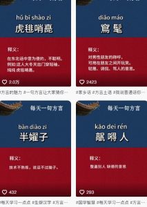 抖音最新涨粉玩法，图文方言暴力涨粉实操，126作品涨粉11W-优品网赚资源库