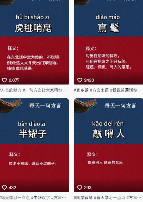 抖音最新涨粉玩法，图文方言暴力涨粉实操，126作品涨粉11W-优品网赚资源库