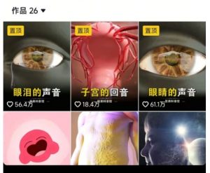 抖音坚果3D动画科普项目，撸视频号分成和抖音伙伴计划，适合零基础小白-优品网赚资源库