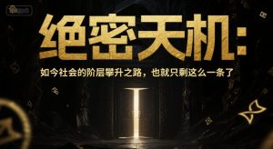 付费文章：绝密天机：如今社会的阶层攀升之路，也就只剩这么一条了-优品网赚资源库