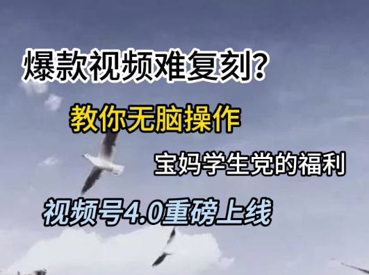 视频号4.0重磅上线，爆款视频难复刻？教你无脑操作宝妈学生党的福利【揭秘】-优品网赚资源库