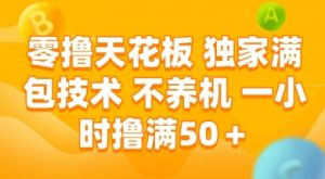 零撸天花板，独家满包技术 不养机 一小时撸满50+【揭秘】-优品网赚资源库