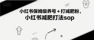 小红书保姆级养号+打减肥粉，小红书减肥打法sop-优品网赚资源库