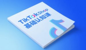 TikTok小店基础认知课,助力学员从 0 到 1 掌握 TikTok 电商运营全链路认知-优品网赚资源库